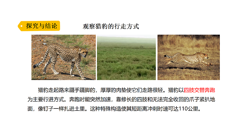 17316956第8页