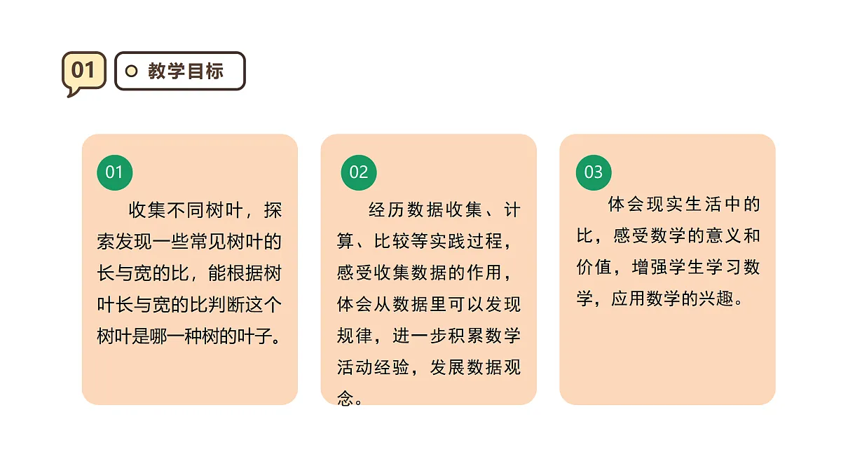 17316981第3页