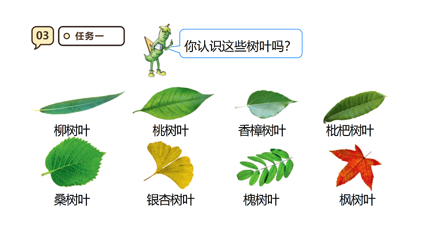 17316981第6页