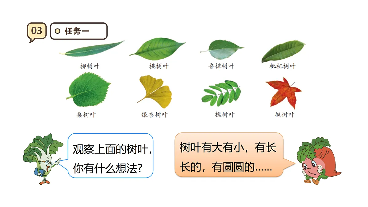 17316981第7页