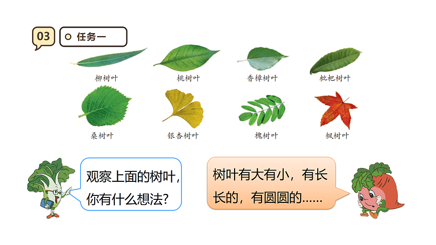 17316981第7页