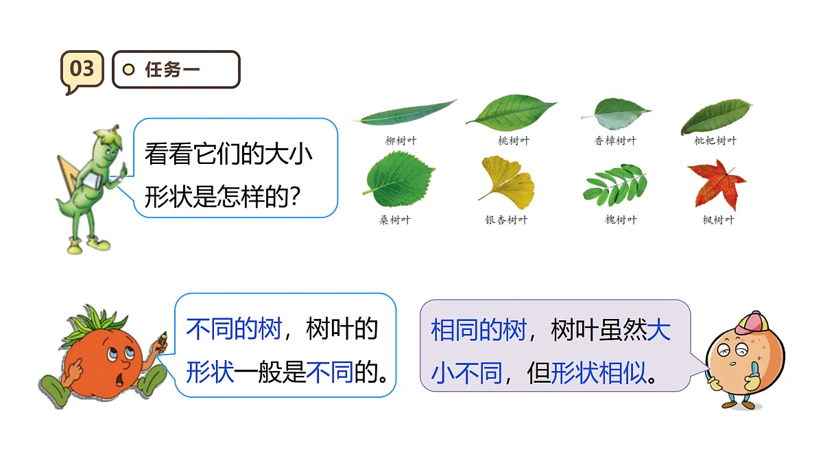 17316981第8页