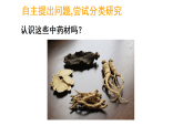 2.1 用总量与分量的关系解决问题(1)（课件)-2025-2026学年三年级上册数学青岛版（2024）