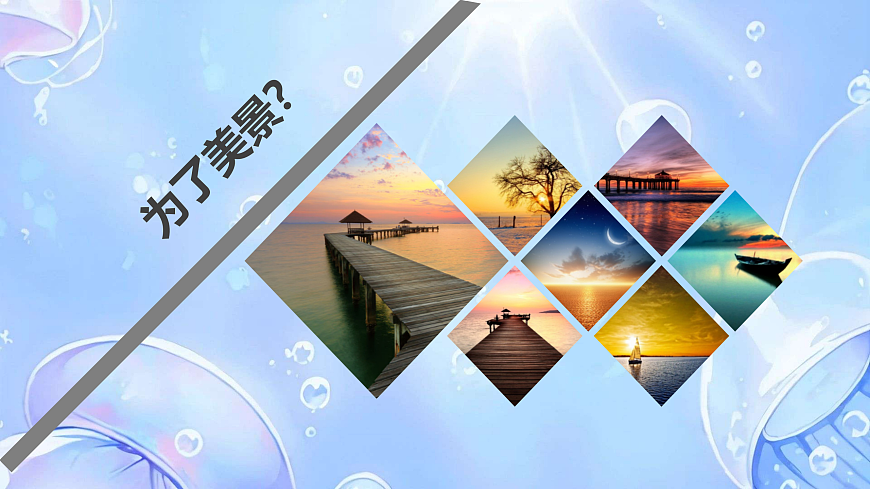 17317289第6页