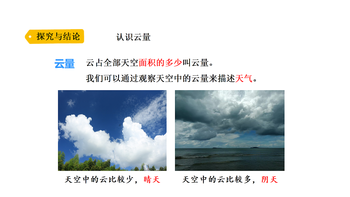17317441第3页