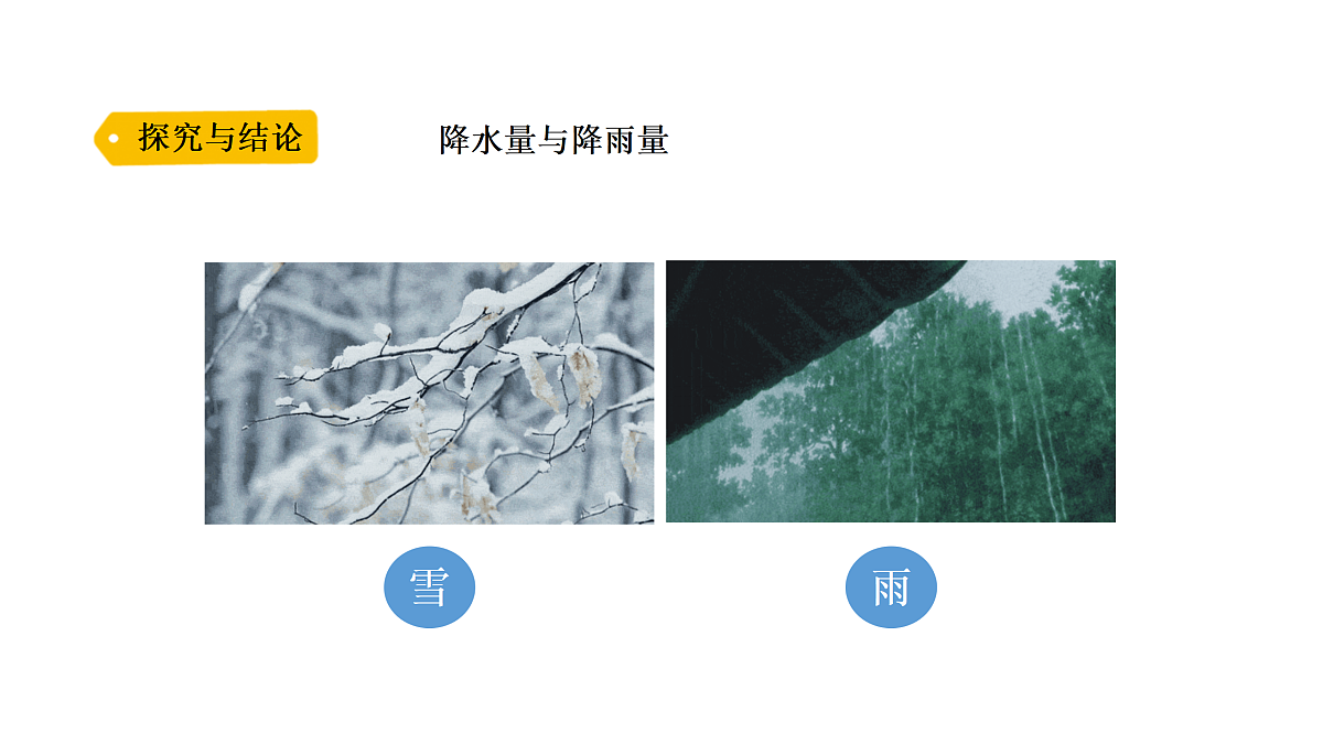 17317441第5页
