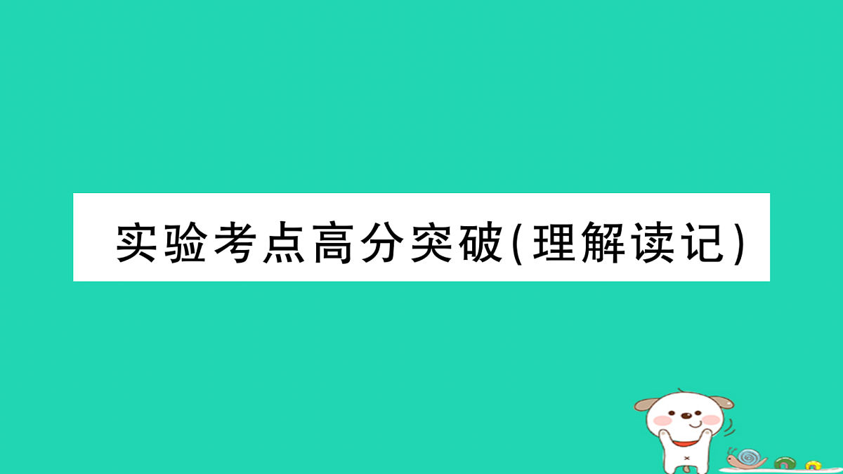 17317537第1页