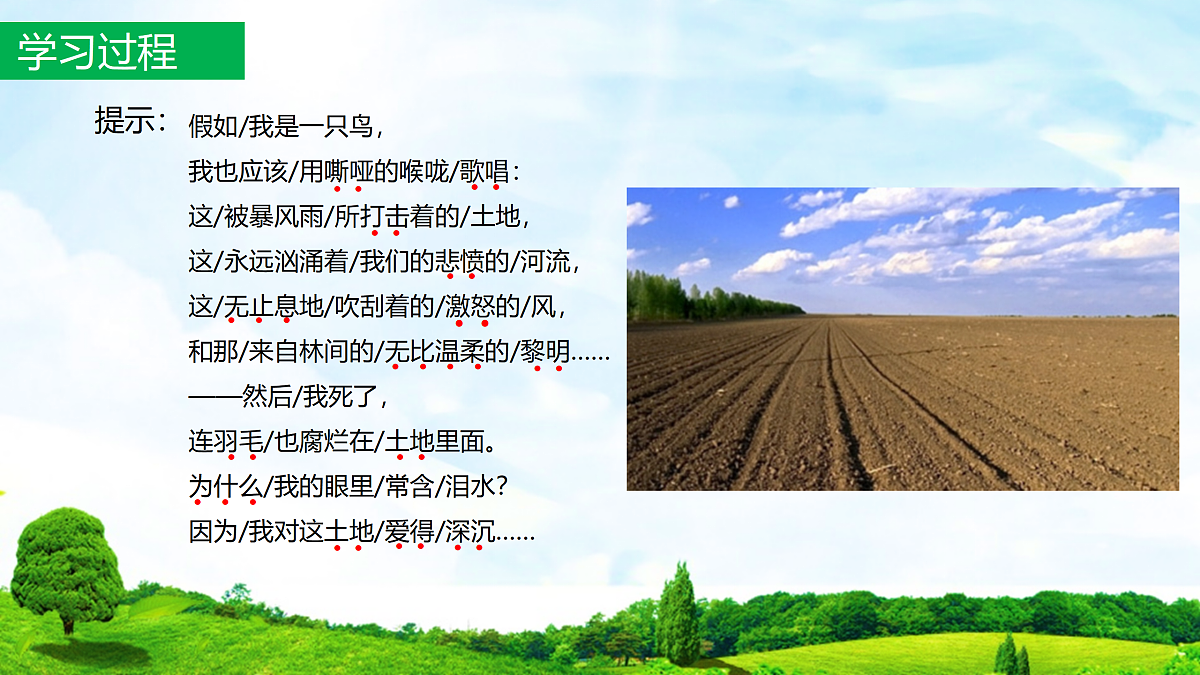 17317722第4页