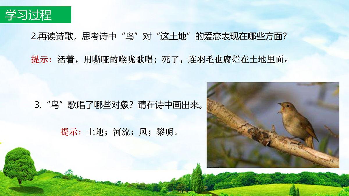 17317722第5页