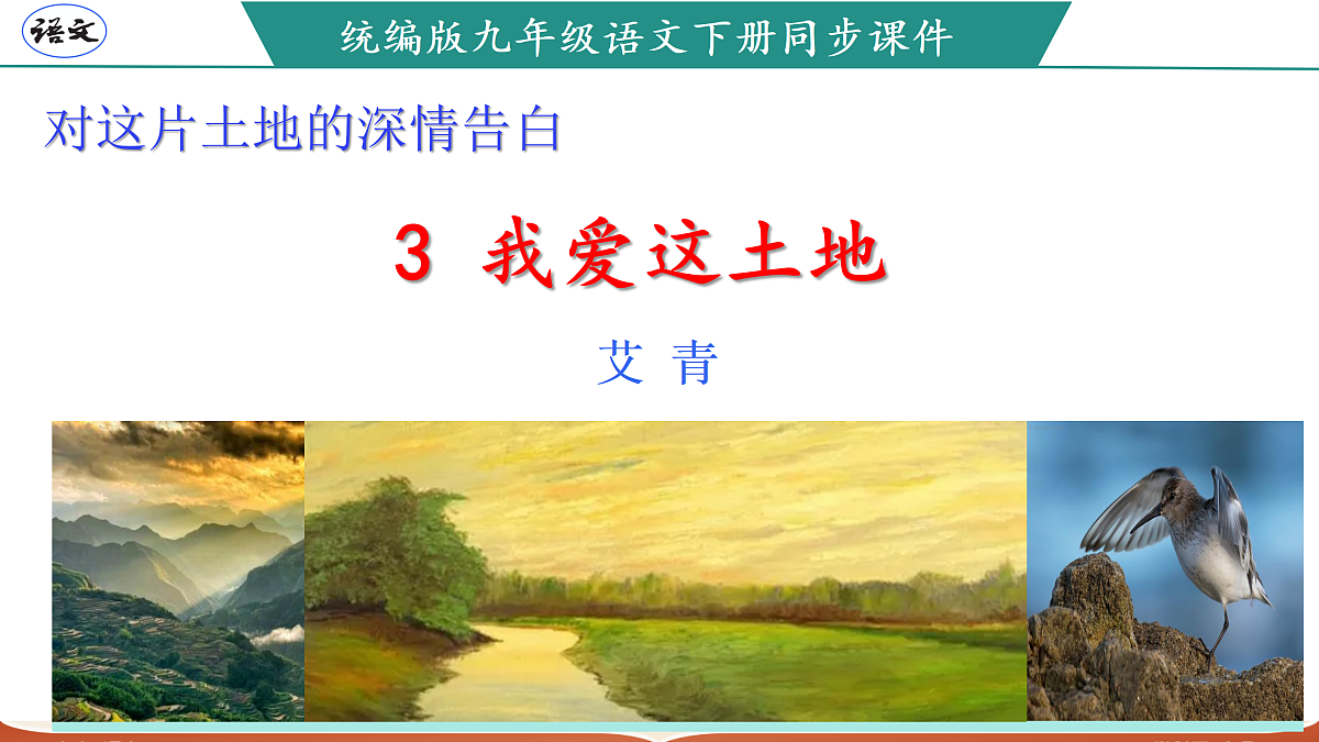 17317723第1页