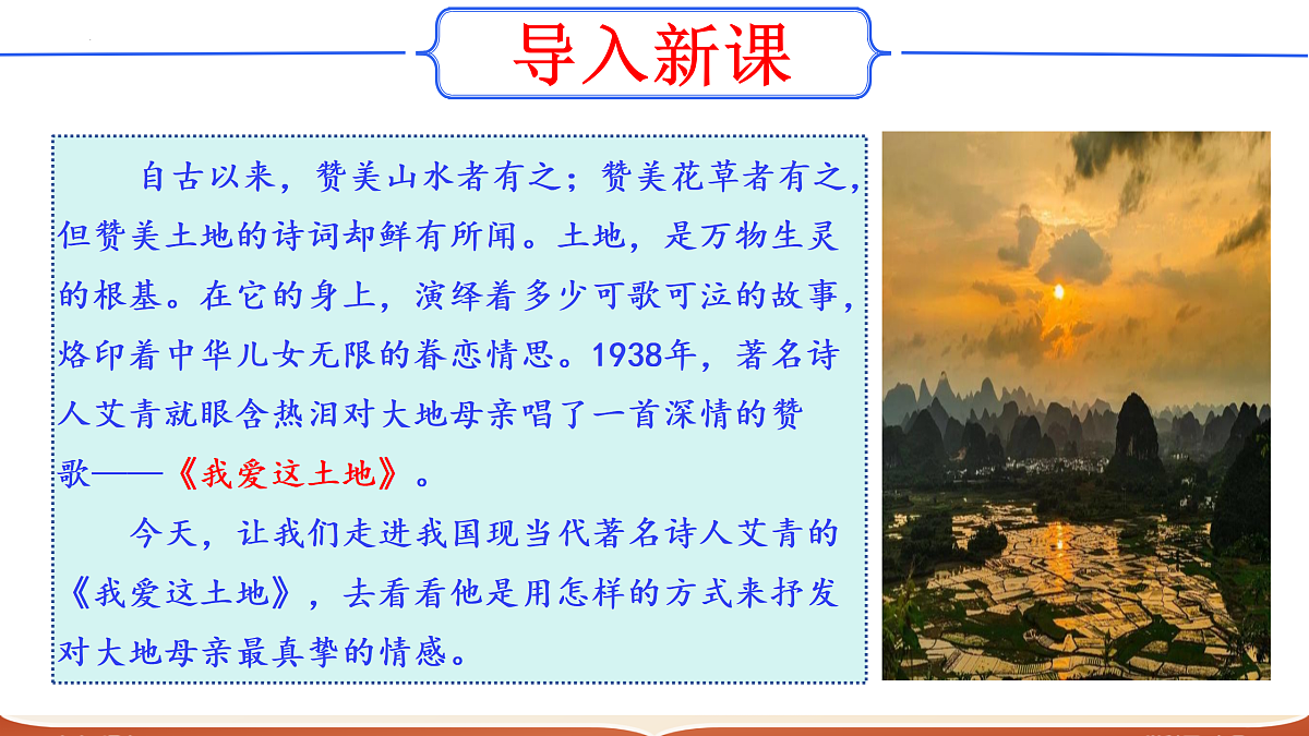 17317723第3页