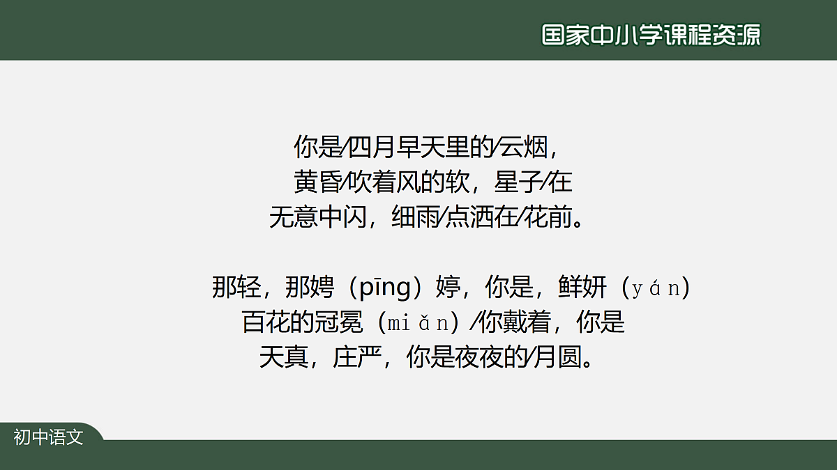 17317741第5页