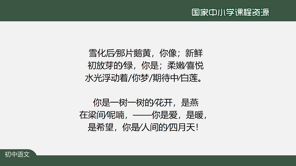 17317741第6页