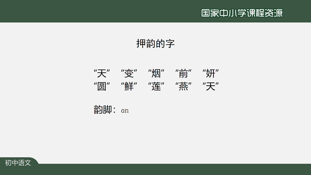 17317741第7页