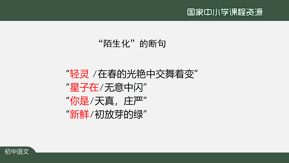 17317741第8页