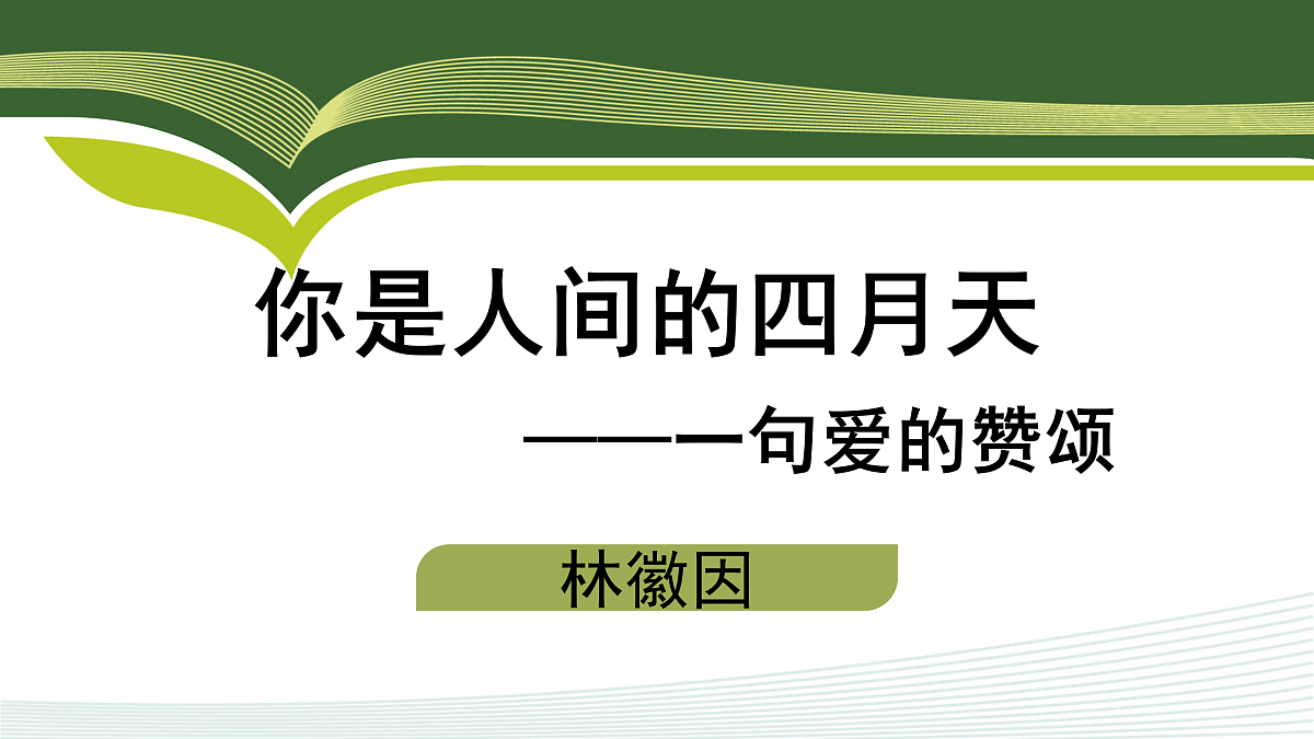 17317743第1页