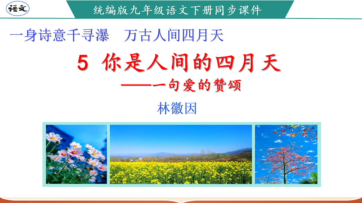 17317744第1页