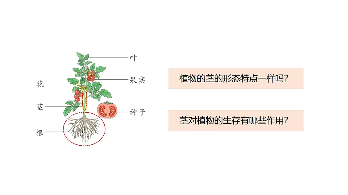 17317953第2页