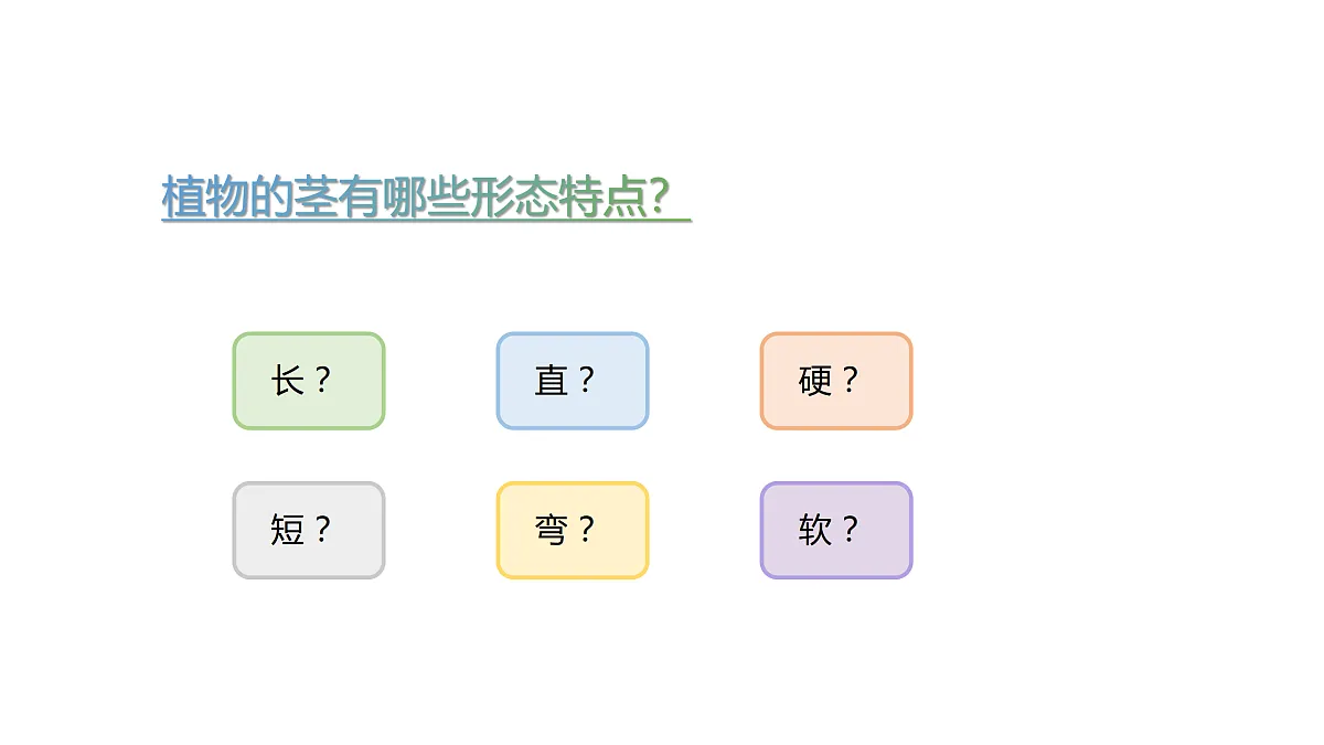 17317953第3页