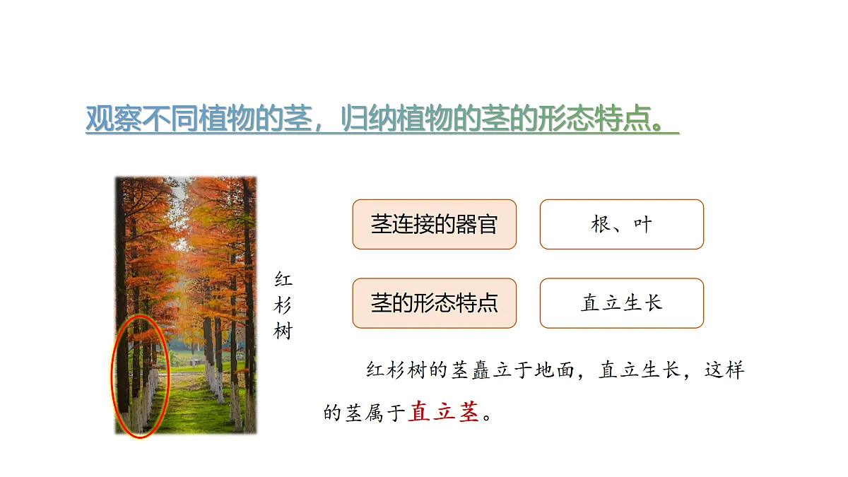 17317953第4页