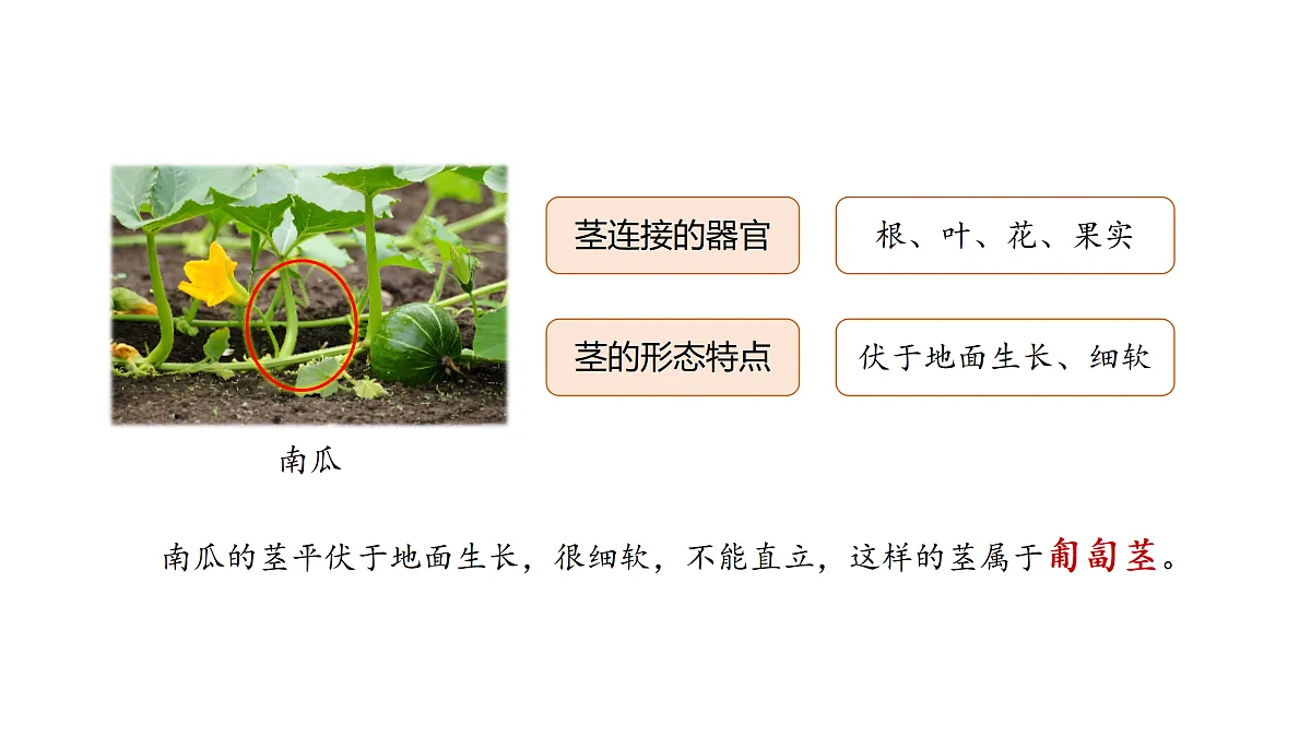 17317953第5页