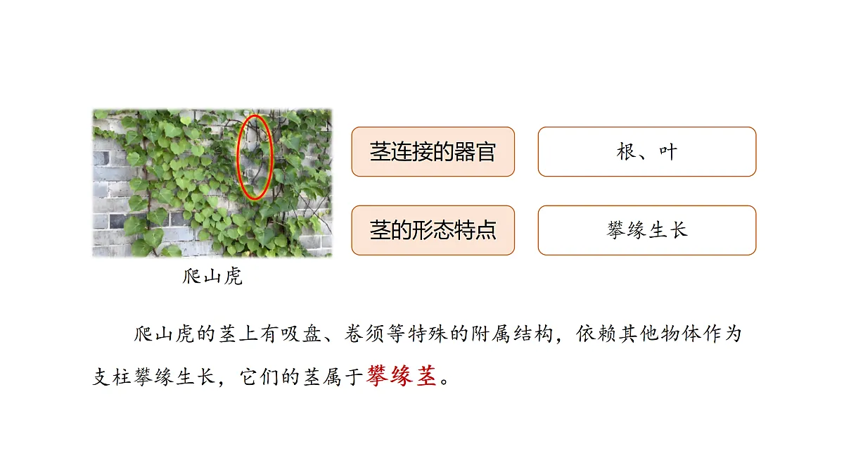 17317953第6页