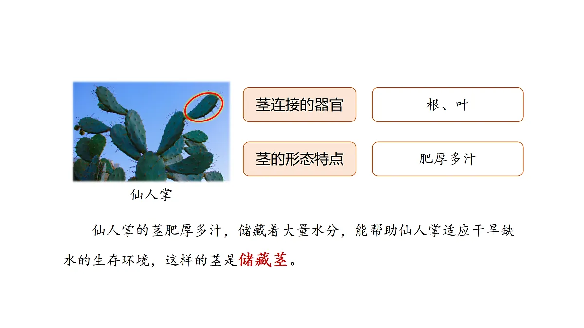 17317953第7页