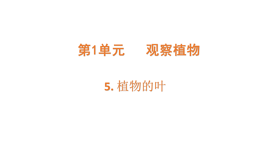 17317954第1页