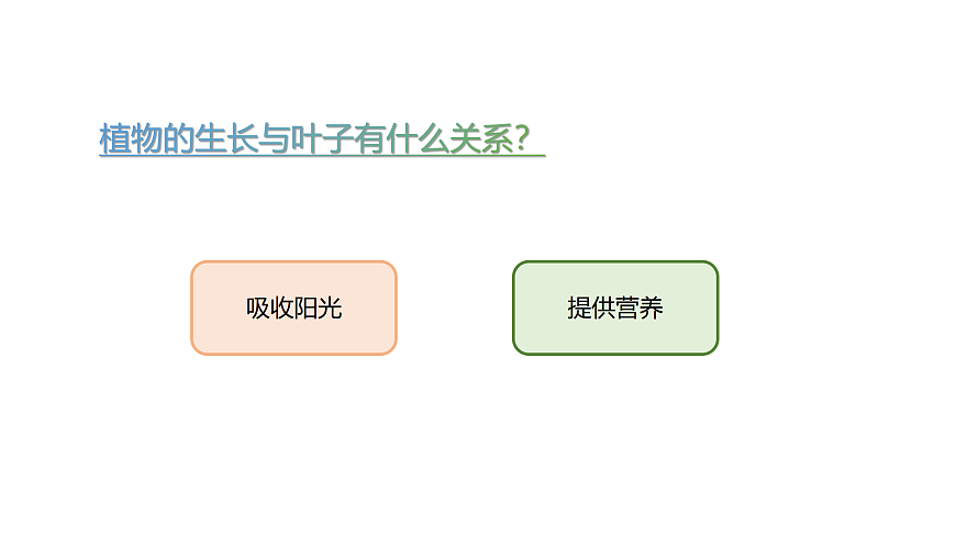 17317954第3页