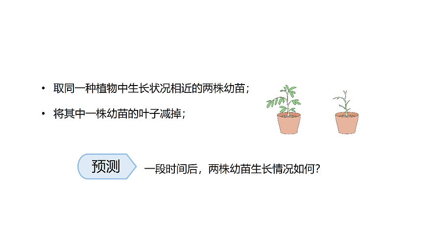 17317954第4页