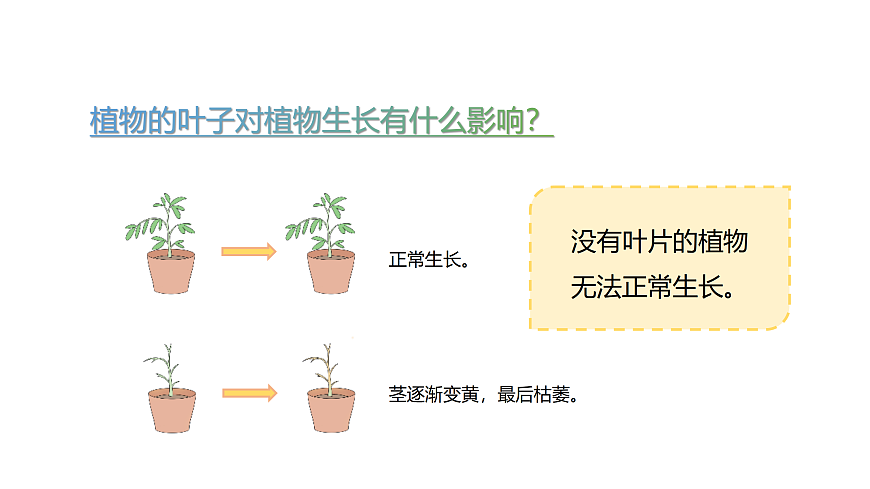 17317954第5页