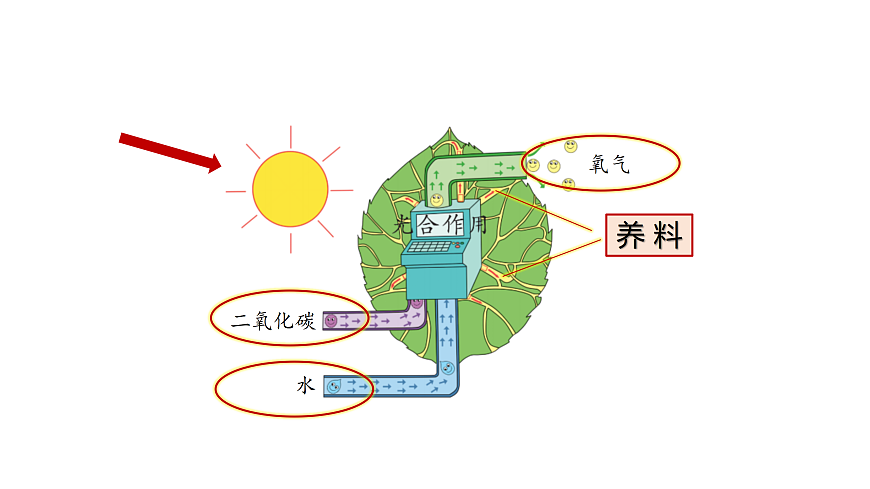 17317954第6页