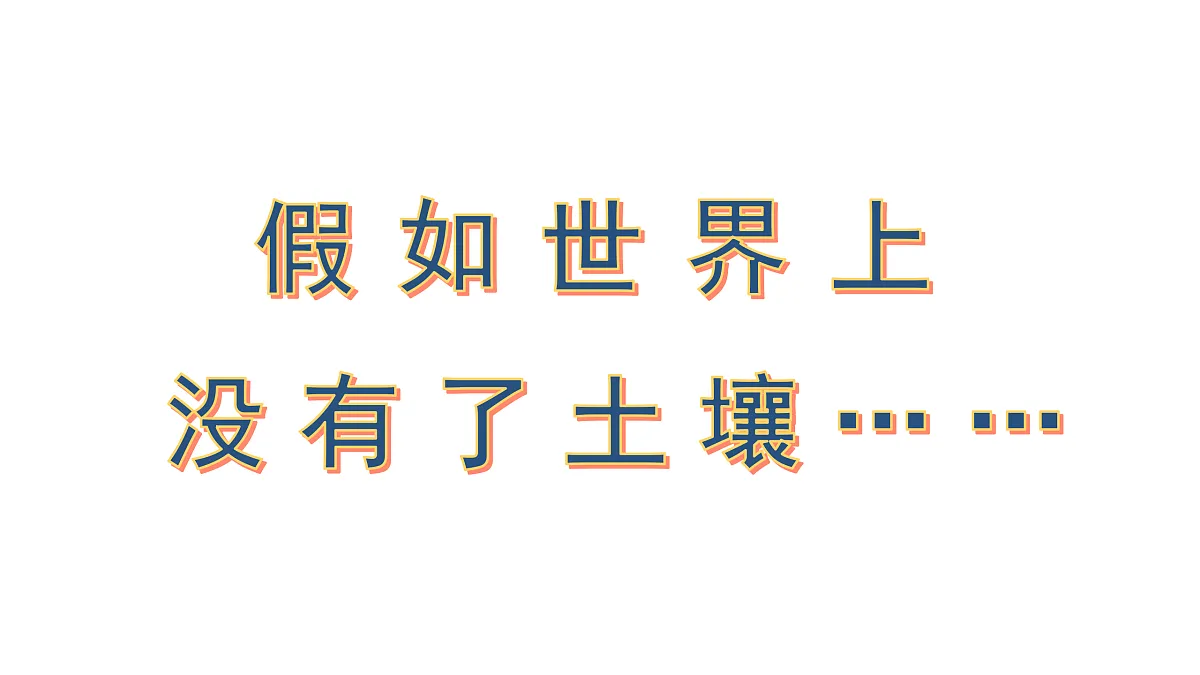 17317955第2页