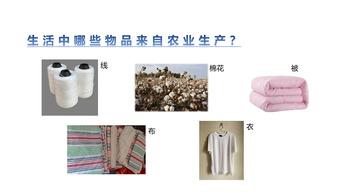 17317955第4页