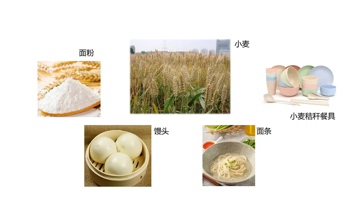 17317955第5页