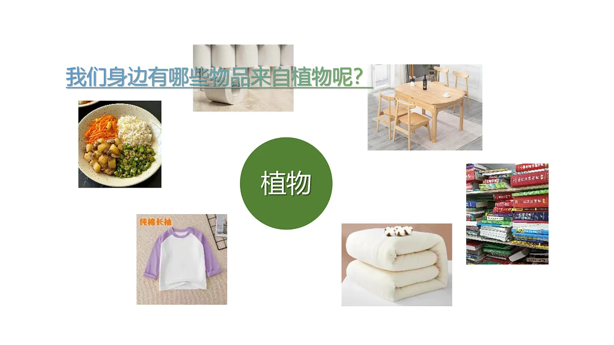 17317959第2页
