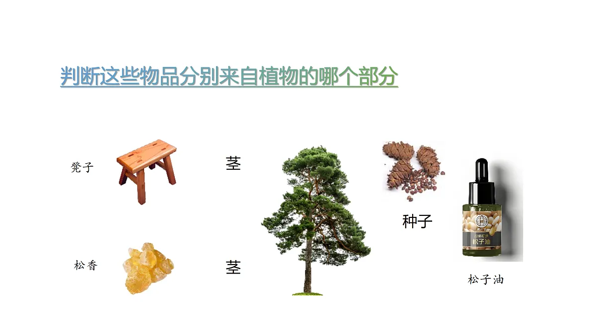 17317959第3页