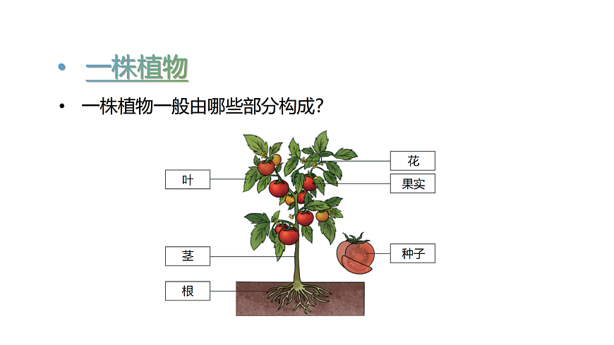 17317960第2页