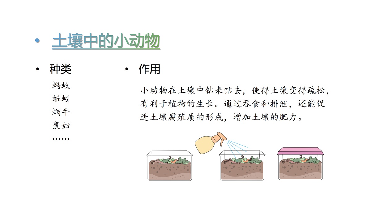 17317961第3页