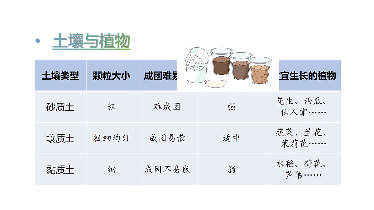 17317961第4页
