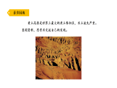 小学科学新青岛版（五四制）三年级上册第一单元复习教学课件2025秋