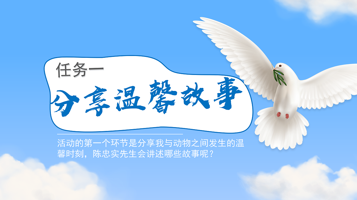 17318722第7页