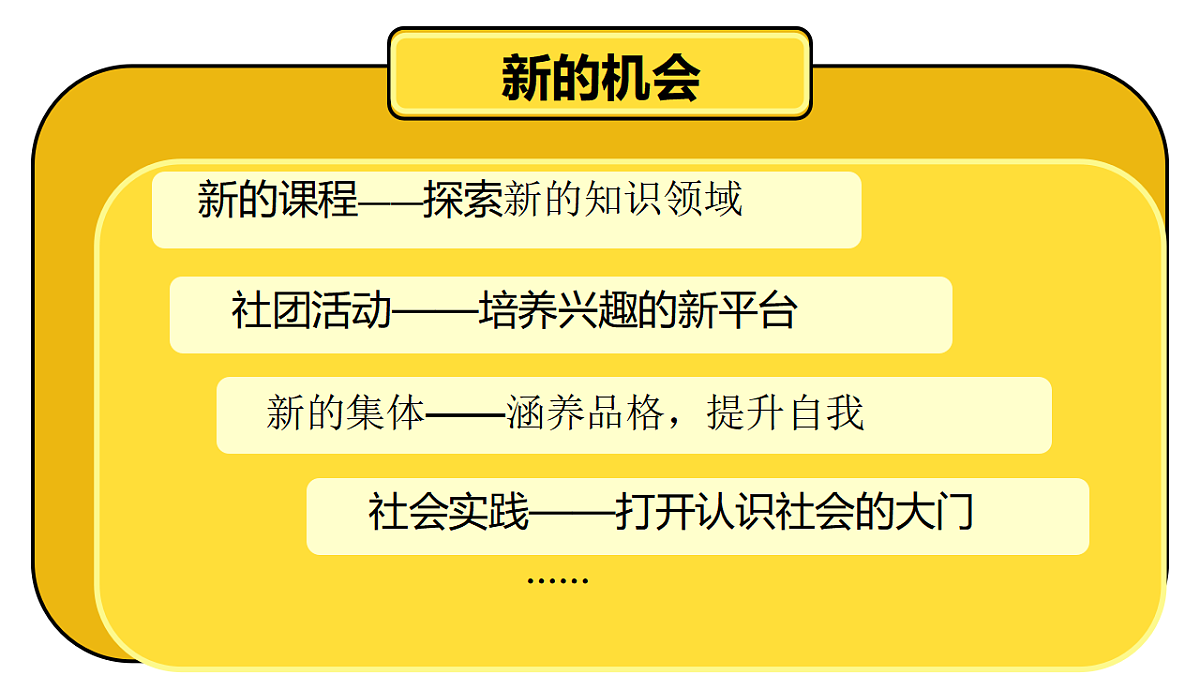 17319537第8页