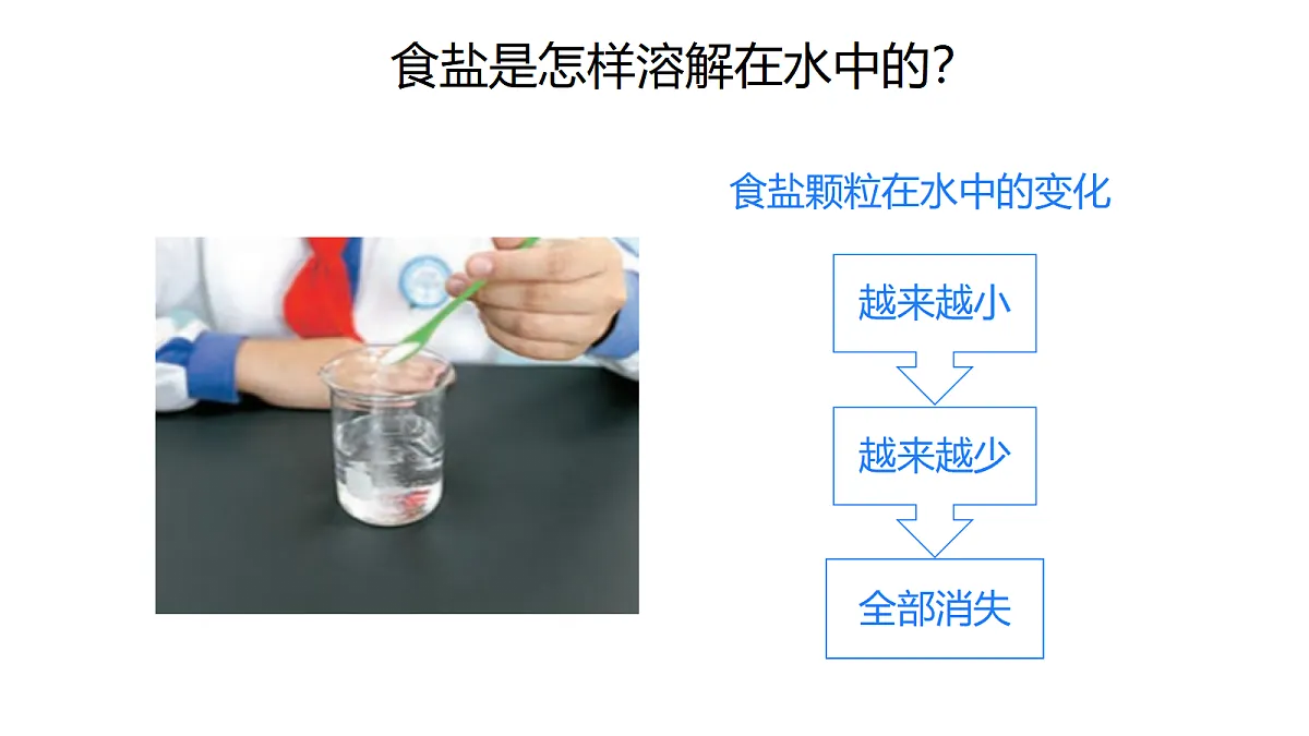 1.2《水能溶解哪些物质》课件第2页