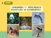 2025年大象版二年级科学上册 2.2 参观动物园（教案+课件）