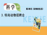 2025年大象版二年级科学上册 2.3 特岗动物招聘会（教案+课件）