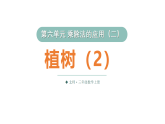 小学数学新北师大版三年级上册第六单元第五课时 植树（2）教学课件（2025秋）