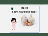 2025年秋青岛版二年级科学上册 5 种大蒜（教案+课件）