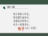 2025年秋青岛版二年级科学上册 7 柿子熟了（教案+课件）