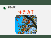 2025年秋青岛版二年级科学上册 7 柿子熟了（教案+课件）